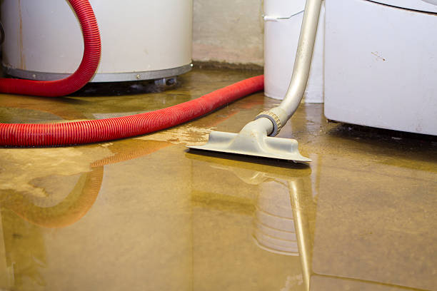 Best Sewage cleanup and water damage restoration  in North Madison, OH
