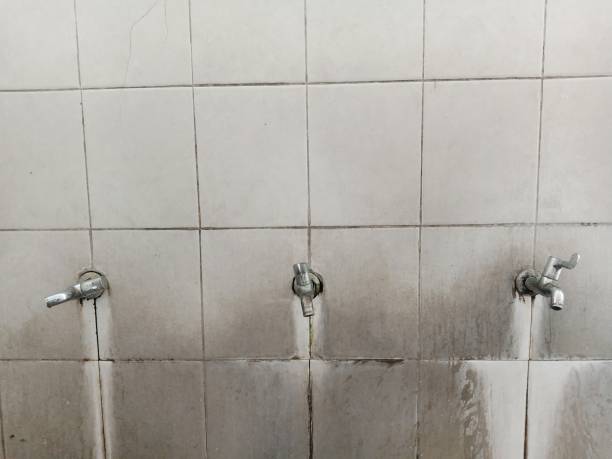 Best Commercial water damage restoration  in North Madison, OH
