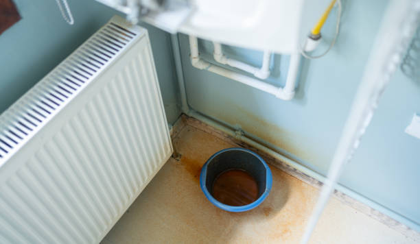Best Flood damage cleanup  in North Madison, OH