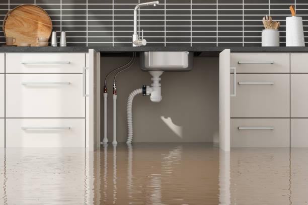 Best Residential water damage restoration  in North Madison, OH
