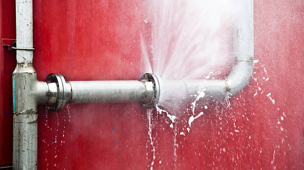 Best Water damage restoration experts  in North Madison, OH